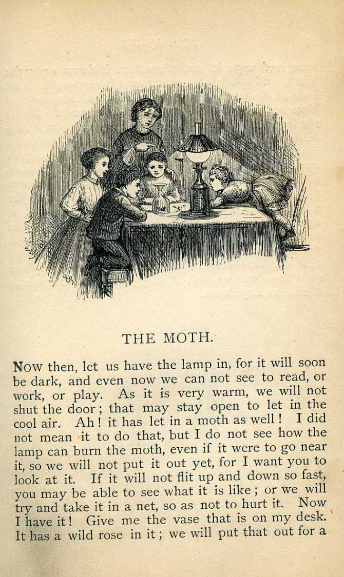Readers tot he light