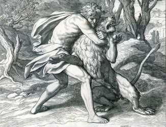 Come here big fella...