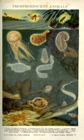 We could all do with our own lights.