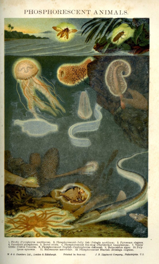 We could all do with our own lights.