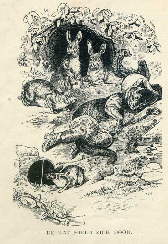 Should I where boots?