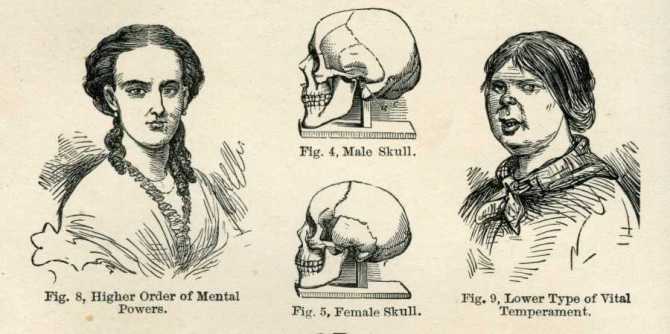 The lower types