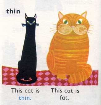 We shouldn't be labelling them