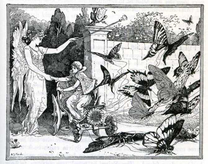 fairy chariot H T Ford.jpg